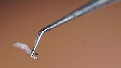 Clean Saç Ekim Merkezi klinik görünümü