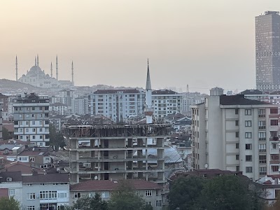 Self Hair Clinic - Saç Ekimi - Hair Transplant Turkey klinik görünümü