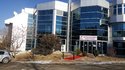 Ankara Saç Ekimi (Elmas) klinik görünümü